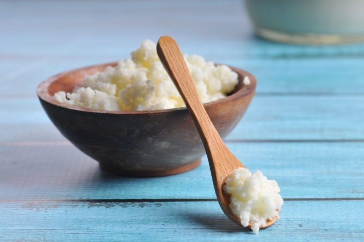 Kefir graos que esbanjam saúde