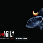 Got the facts on milk?