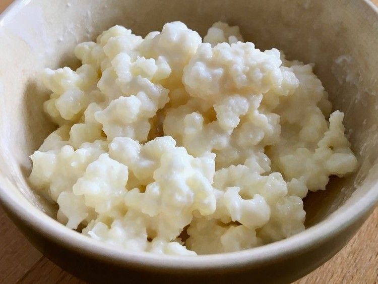 Como fazer kefir com leite vegetal